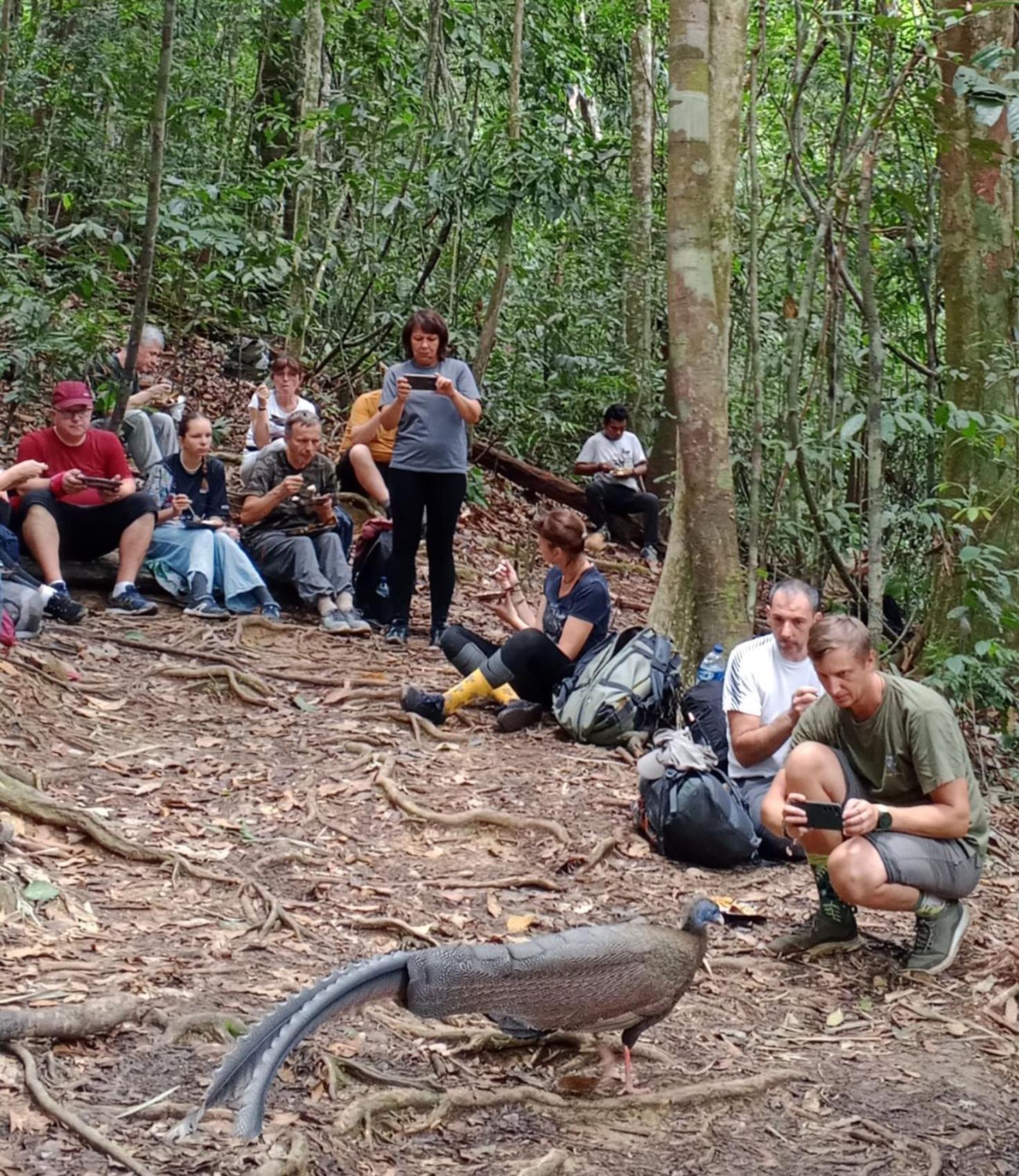 Sama Sama Homestay & Trekking Only Stay Here Book Trekking And Transport With Us Bukit Lawang Esterno foto
