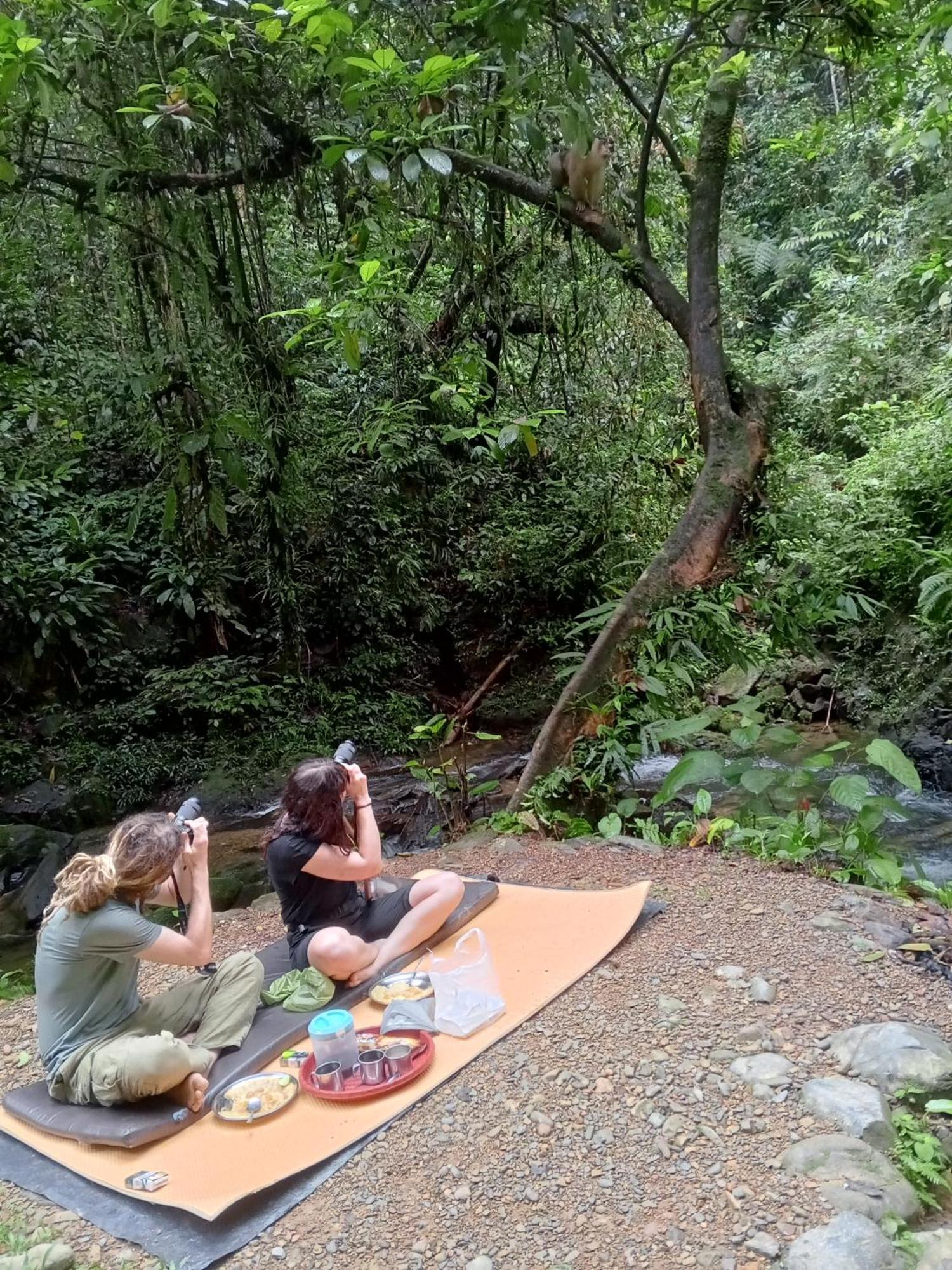 Sama Sama Homestay & Trekking Only Stay Here Book Trekking And Transport With Us Bukit Lawang Esterno foto